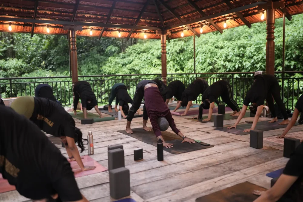 Yoga Institute in Chennai Fees